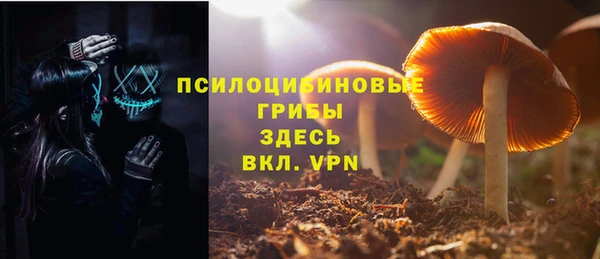 хмурый Майский