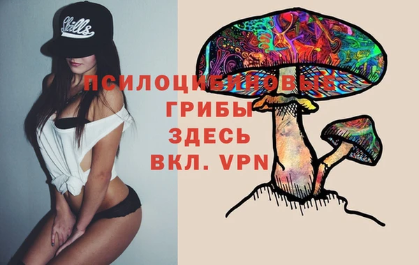 хмурый Майский