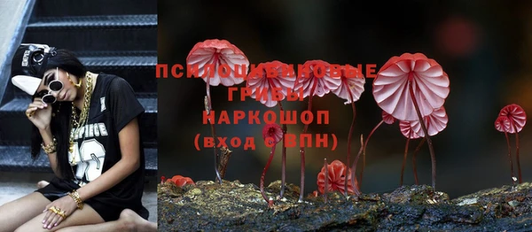 хмурый Майский