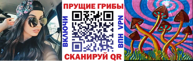 Псилоцибиновые грибы прущие грибы  Таруса 